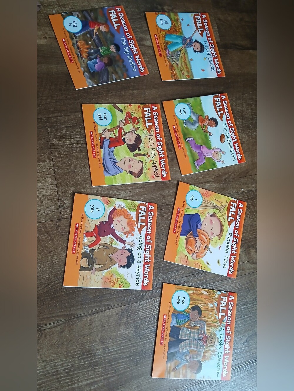 Scholastic Kids Fall Sight Words Books- Catalogue Exclusive